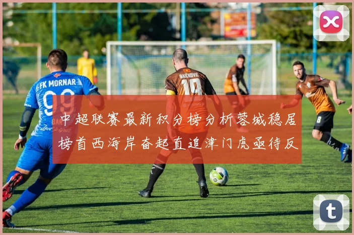 中超联赛最新积分榜分析蓉城稳居榜首西海岸奋起直追津门虎亟待反弹